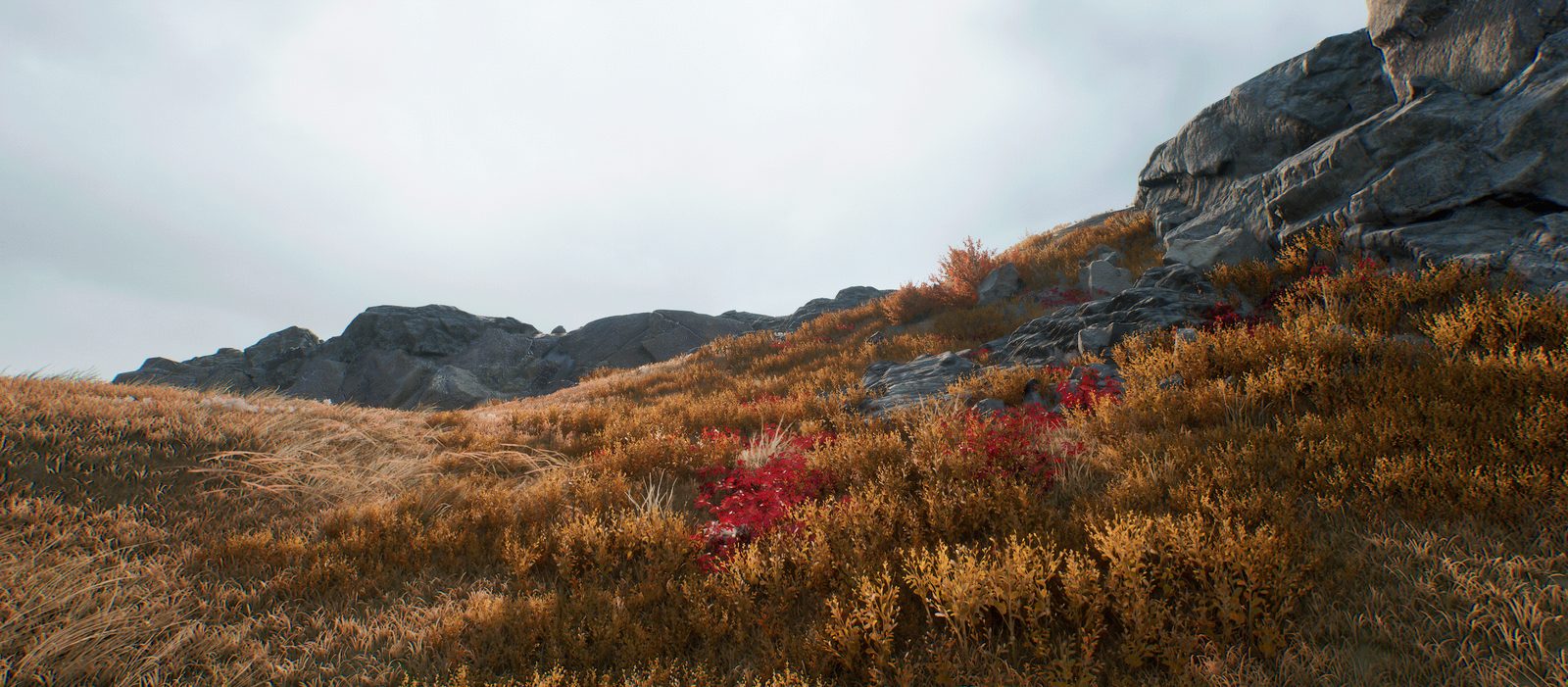 Procedural Biome